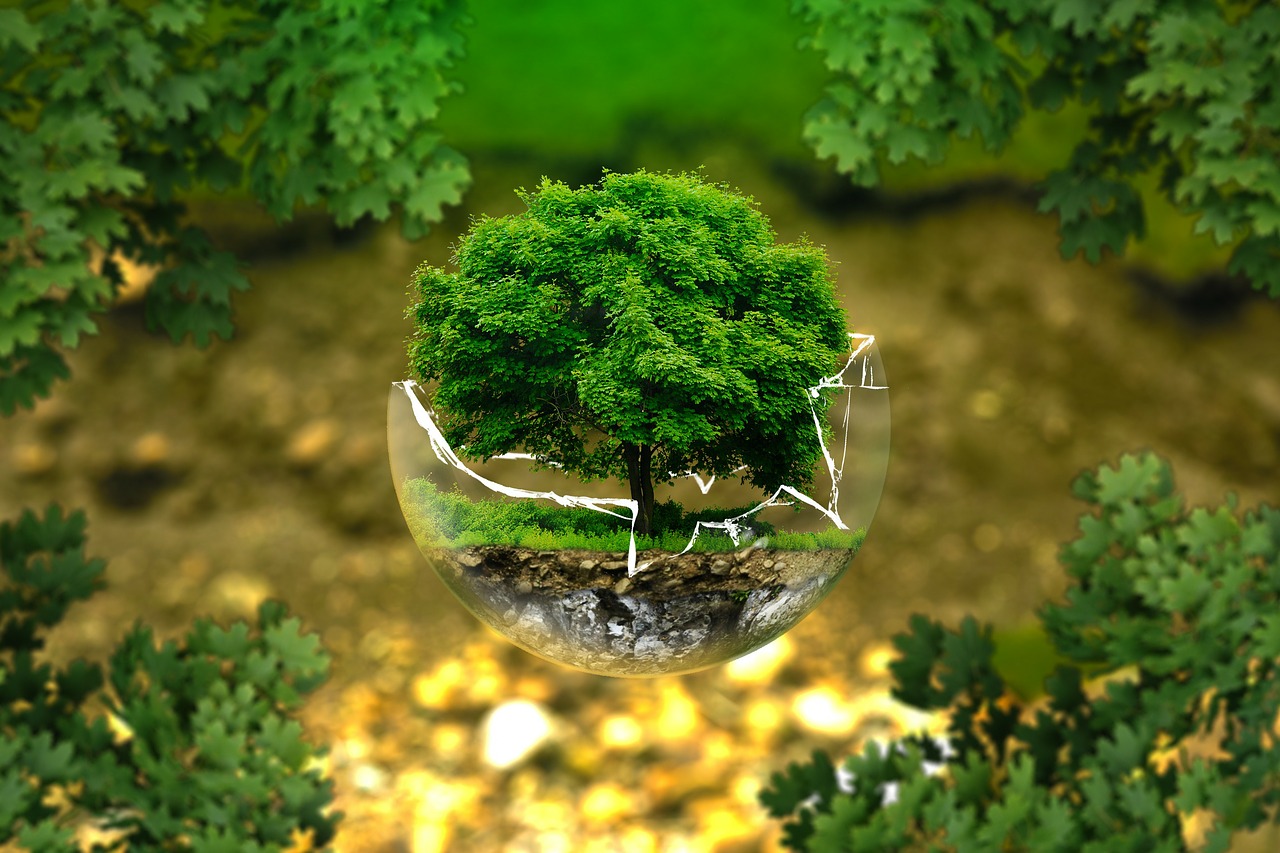 Environment & Awareness